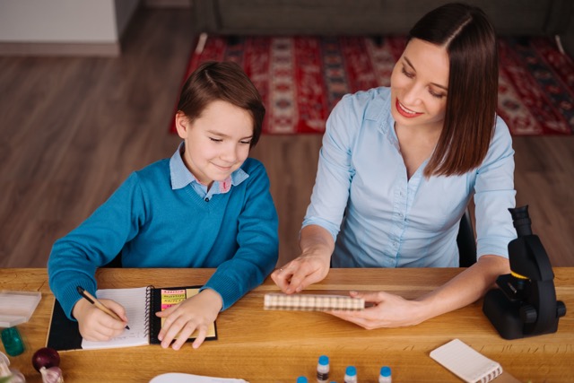 An NSEMM in-person community tutoring session